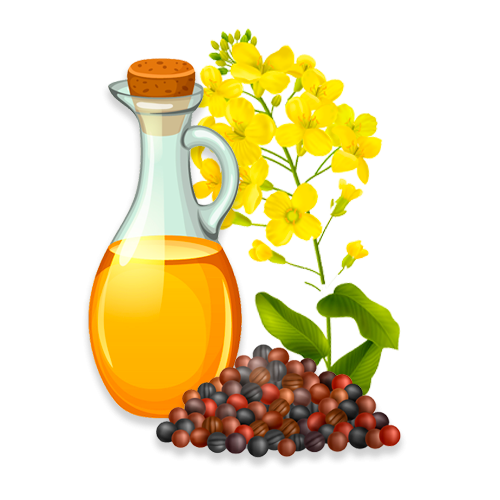 Rapeseed oil