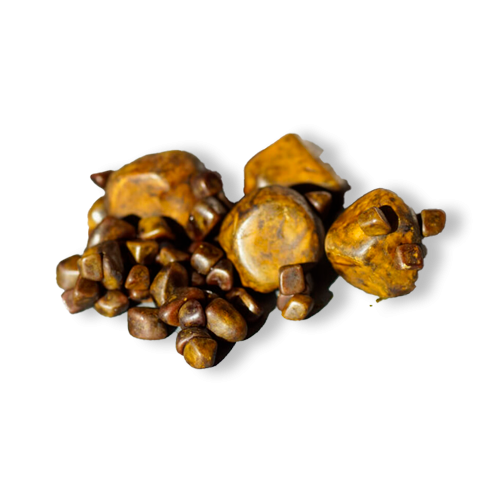 Ox gallstone